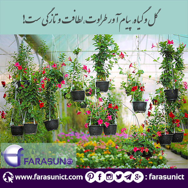 طراحی سایت، طراحی سایت در اصفهان، سئو در اصفهان، طراحی سایت صنعتی