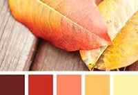 انتخاب ترکیب رنگ مناسب برای طراحی وب سایت